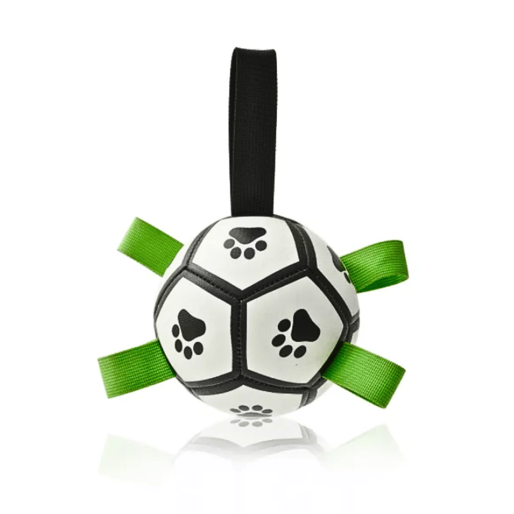 Furry Frenzy Soccer Tag Ball: Unstoppable Play Ball