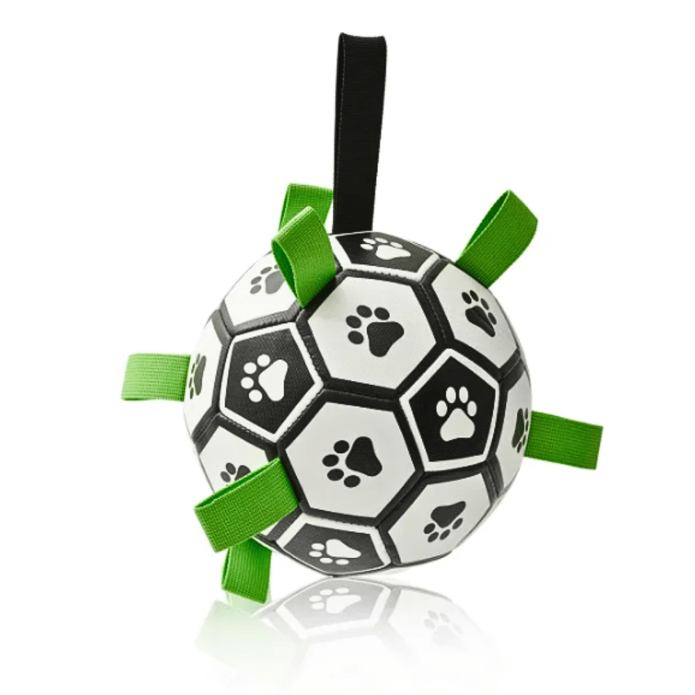 Furry Frenzy Soccer Tag Ball: Unstoppable Play Ball