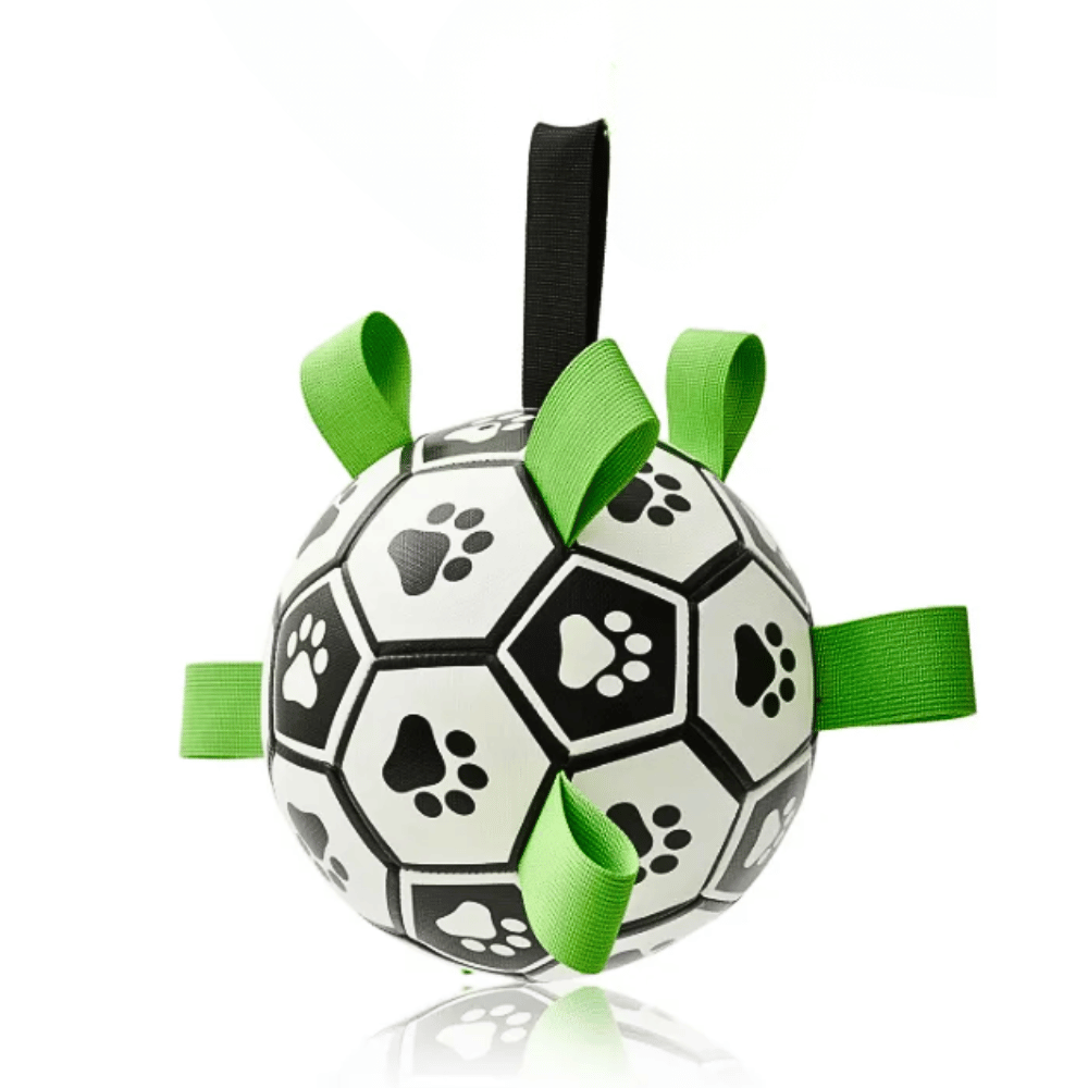 Furry Frenzy Soccer Tag Ball: Unstoppable Play Ball