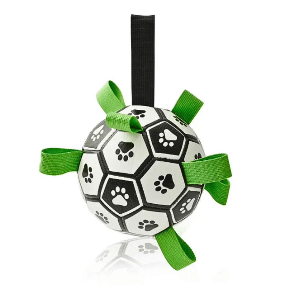 Furry Frenzy Soccer Tag Ball: Unstoppable Play Ball