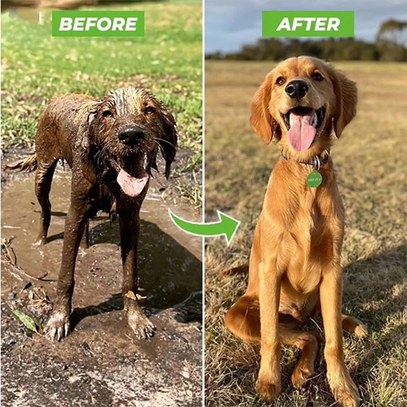 Paws n' Hooves Jet Wash™