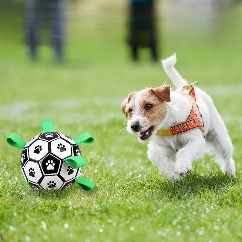 Furry Frenzy Soccer Tag Ball: Unstoppable Play Ball