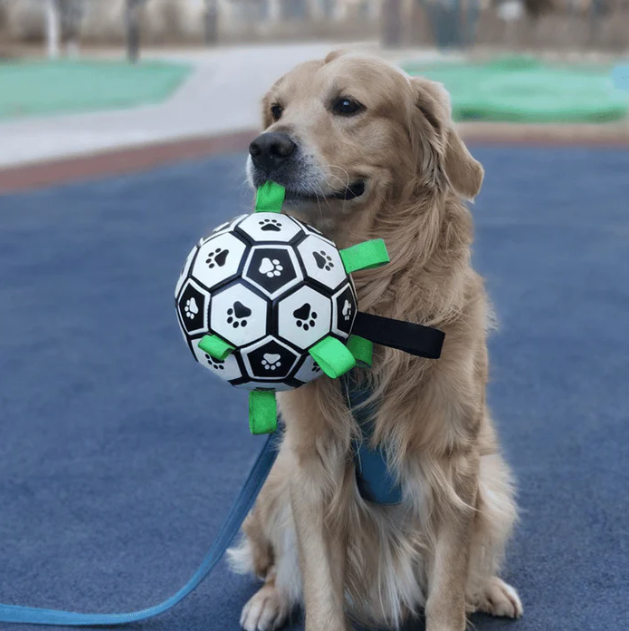 Furry Frenzy Soccer Tag Ball: Unstoppable Play Ball